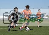 IMG Cup - Asphalt Green SC vs Charlotte Eagles