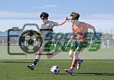 IMG Cup - Asphalt Green SC vs Charlotte Eagles