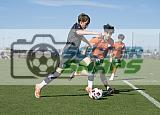 IMG Cup - Asphalt Green SC vs Charlotte Eagles