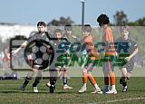 IMG Cup - Asphalt Green SC vs Charlotte Eagles