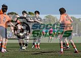 IMG Cup - Asphalt Green SC vs Charlotte Eagles