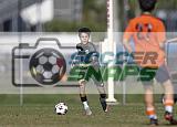IMG Cup - Asphalt Green SC vs Charlotte Eagles