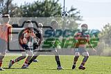 IMG Cup - Asphalt Green SC vs Charlotte Eagles
