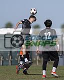 IMG Cup - Asphalt Green SC vs Charlotte Eagles