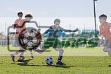 IMG Cup - Asphalt Green SC vs Charlotte Eagles