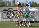IMG Cup - Asphalt Green SC vs Charlotte Eagles