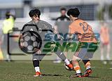 IMG Cup - Asphalt Green SC vs Charlotte Eagles