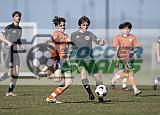 IMG Cup - Asphalt Green SC vs Charlotte Eagles