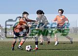 IMG Cup - Asphalt Green SC vs Charlotte Eagles