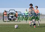 IMG Cup - Asphalt Green SC vs Charlotte Eagles