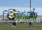 IMG Cup - Asphalt Green SC vs Charlotte Eagles